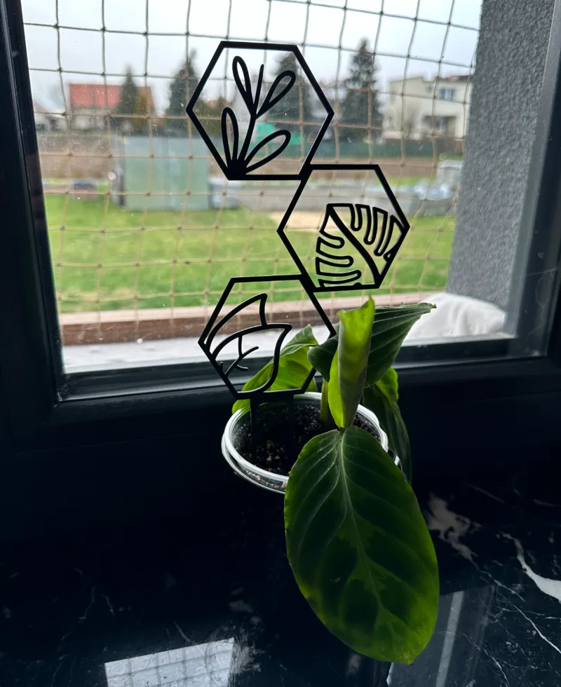 HexPlant plant trellis