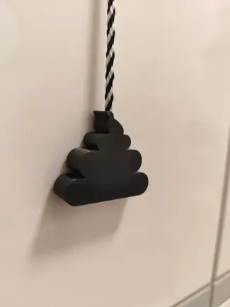Pull cord light switch - toilet