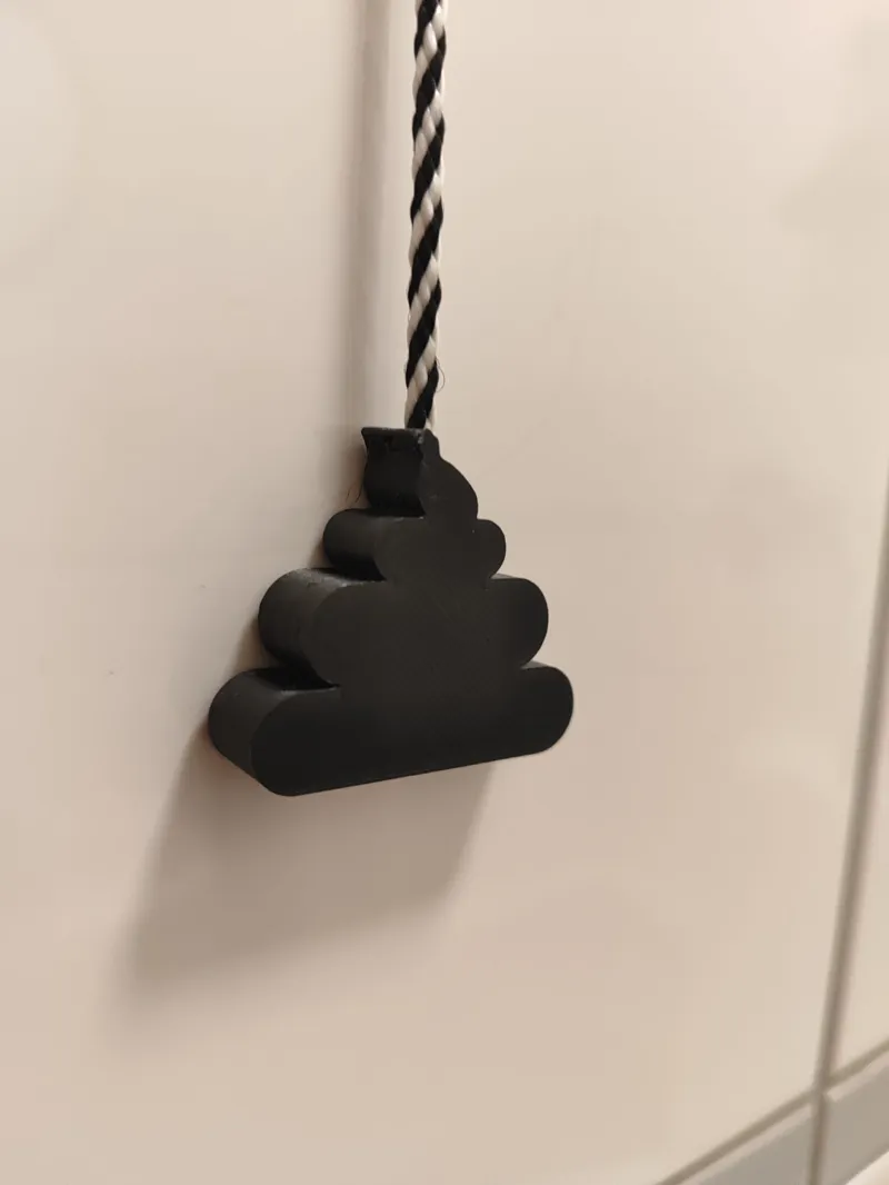 Pull cord light switch - toilet