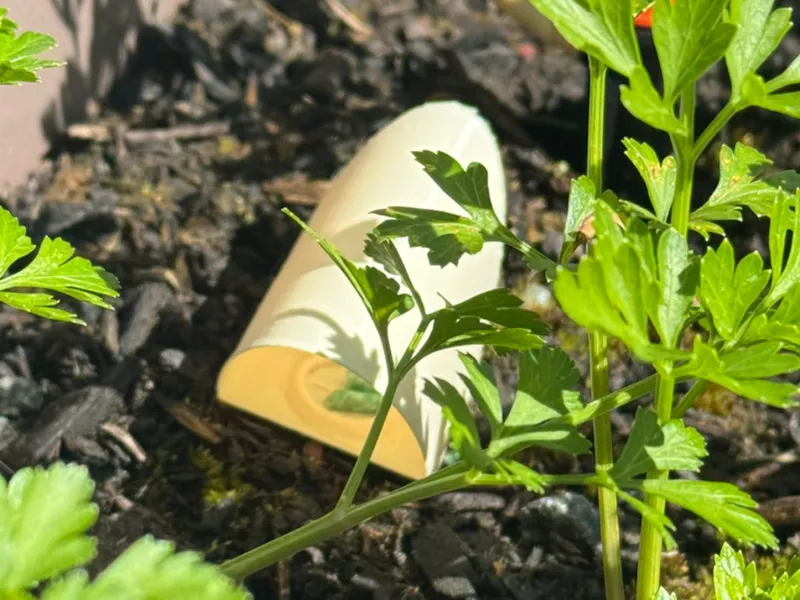 Mini Snail Trap 2.48g