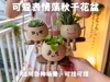 Swinging flower pot smiling expression