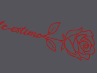 ROSA MINIMALISTA