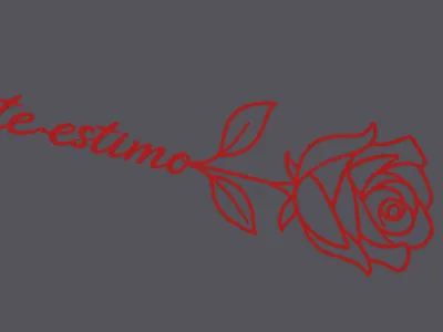 ROSA MINIMALISTA