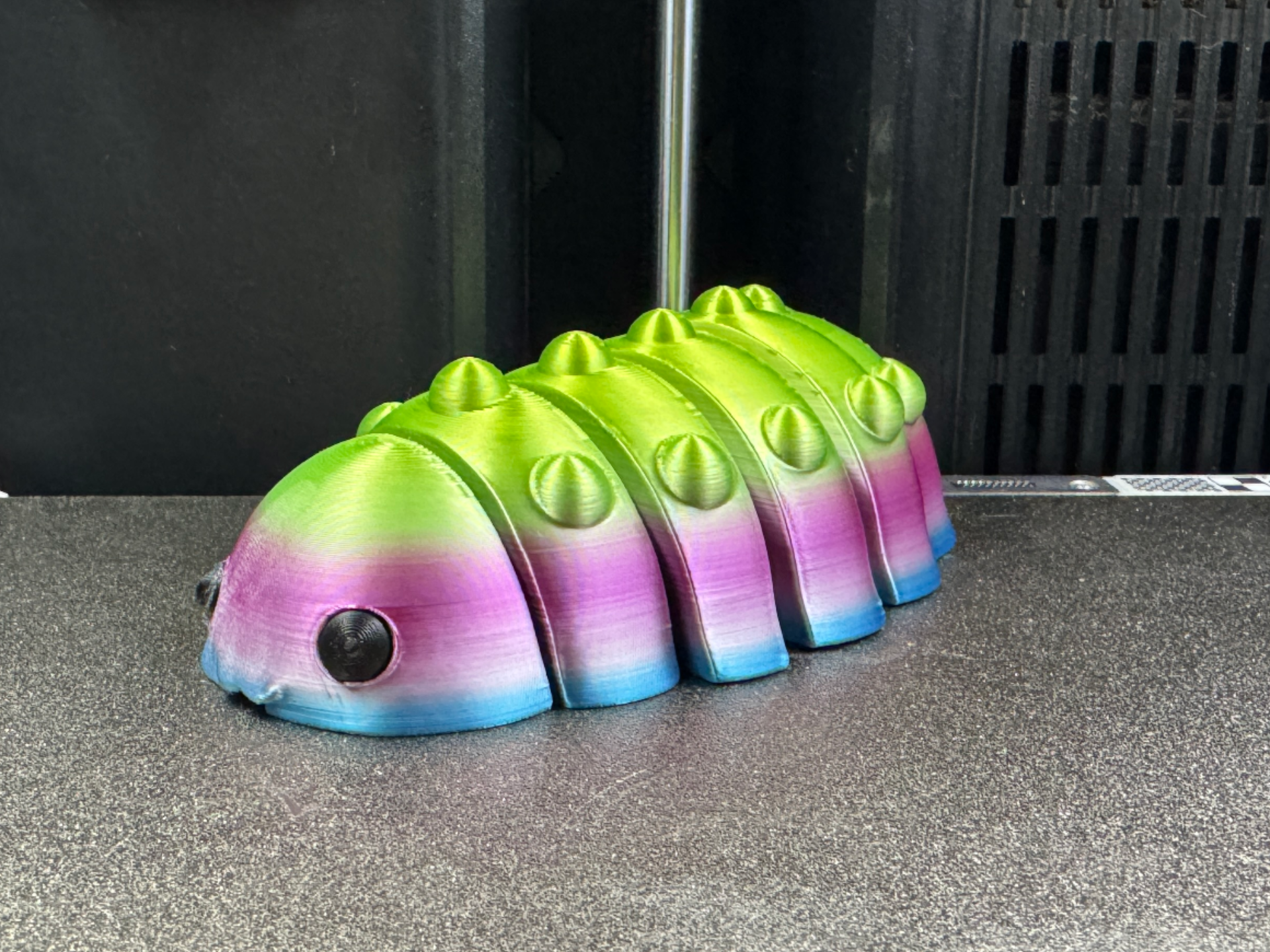 Articulated Rainbow Isopod (Woodlouse) AMS/EyesSep