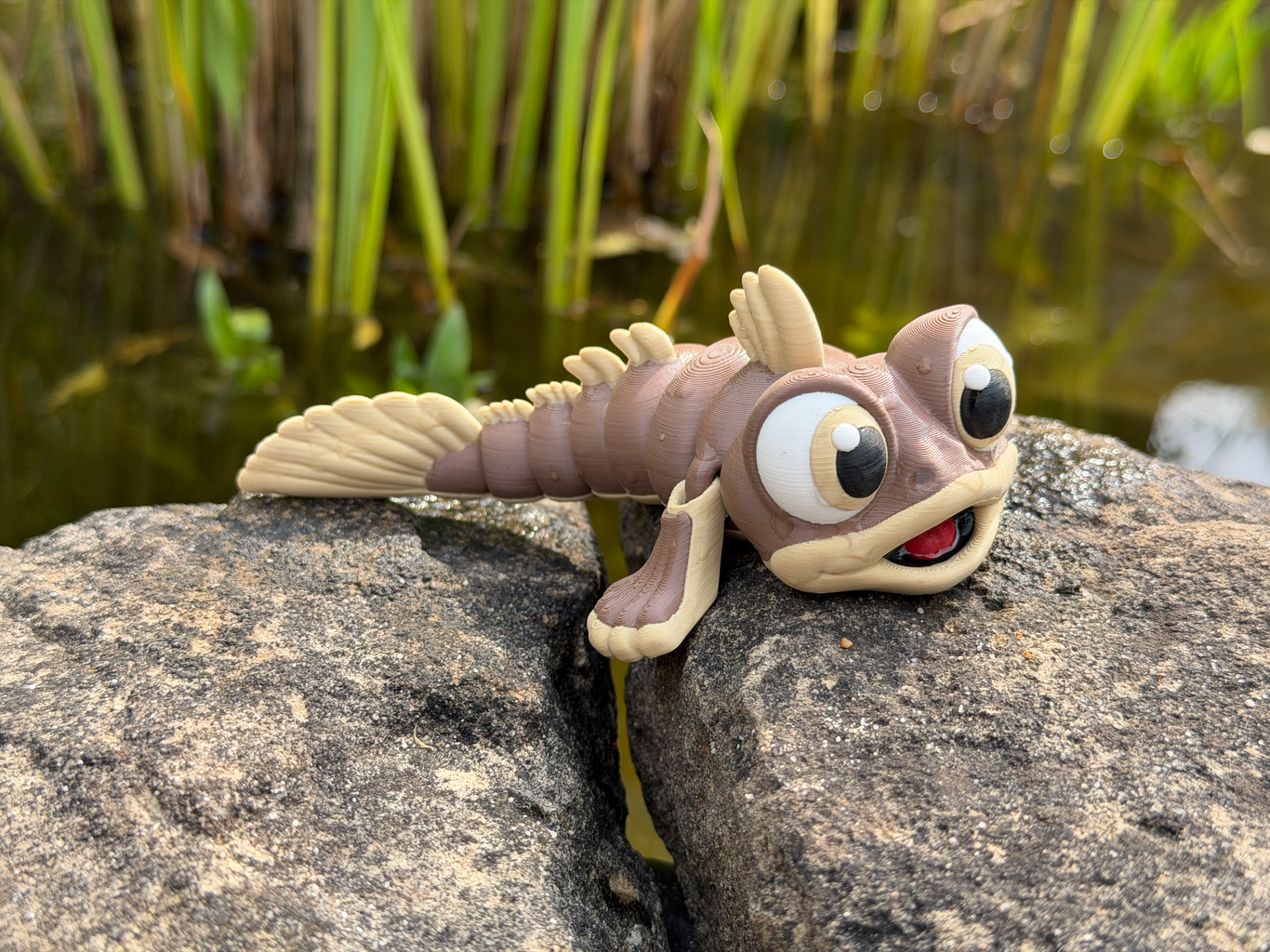 Cute Mudskipper - 1