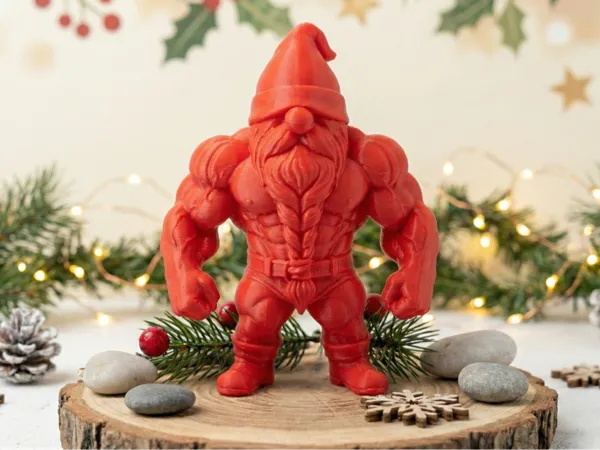 https://makerworld.bblmw.com/makerworld/model/US7a83b9f4627867/design/2025-11-21_89b475abcd3.png