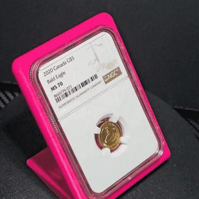 NGC Coin Holder/Display