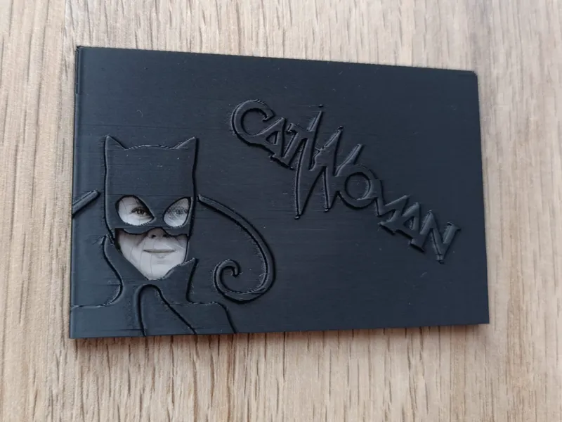 ID Card case/cover - CatWomen