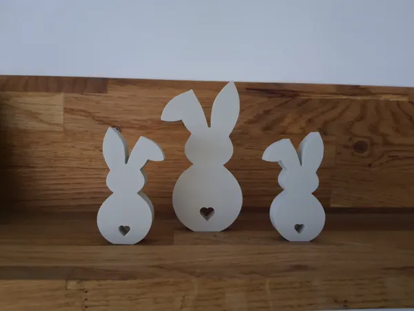 https://makerworld.bblmw.com/makerworld/model/US7a93cc7f997266/design/2026-01-12_5e2129232002b8.jpg