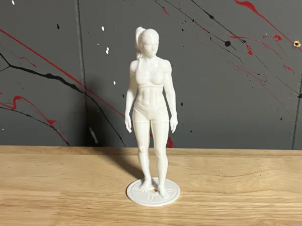 https://makerworld.bblmw.com/makerworld/model/US7a97420633fe34/design/2025-06-04_e53efc83a2616.jpg