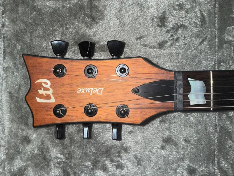 LTD EC-1000 Truss Rod Cover