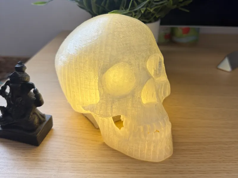 Skull with 2x2 slot 