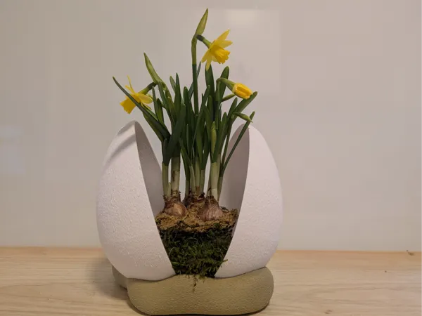 https://makerworld.bblmw.com/makerworld/model/US7aaab28c5bf797/design/2025-03-16_e44ee10802c5c.jpg
