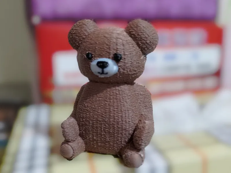 Teddy Bear 毛茸泰迪熊