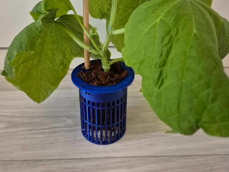 Growing basket for bucket