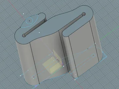 Skate protection and transport device