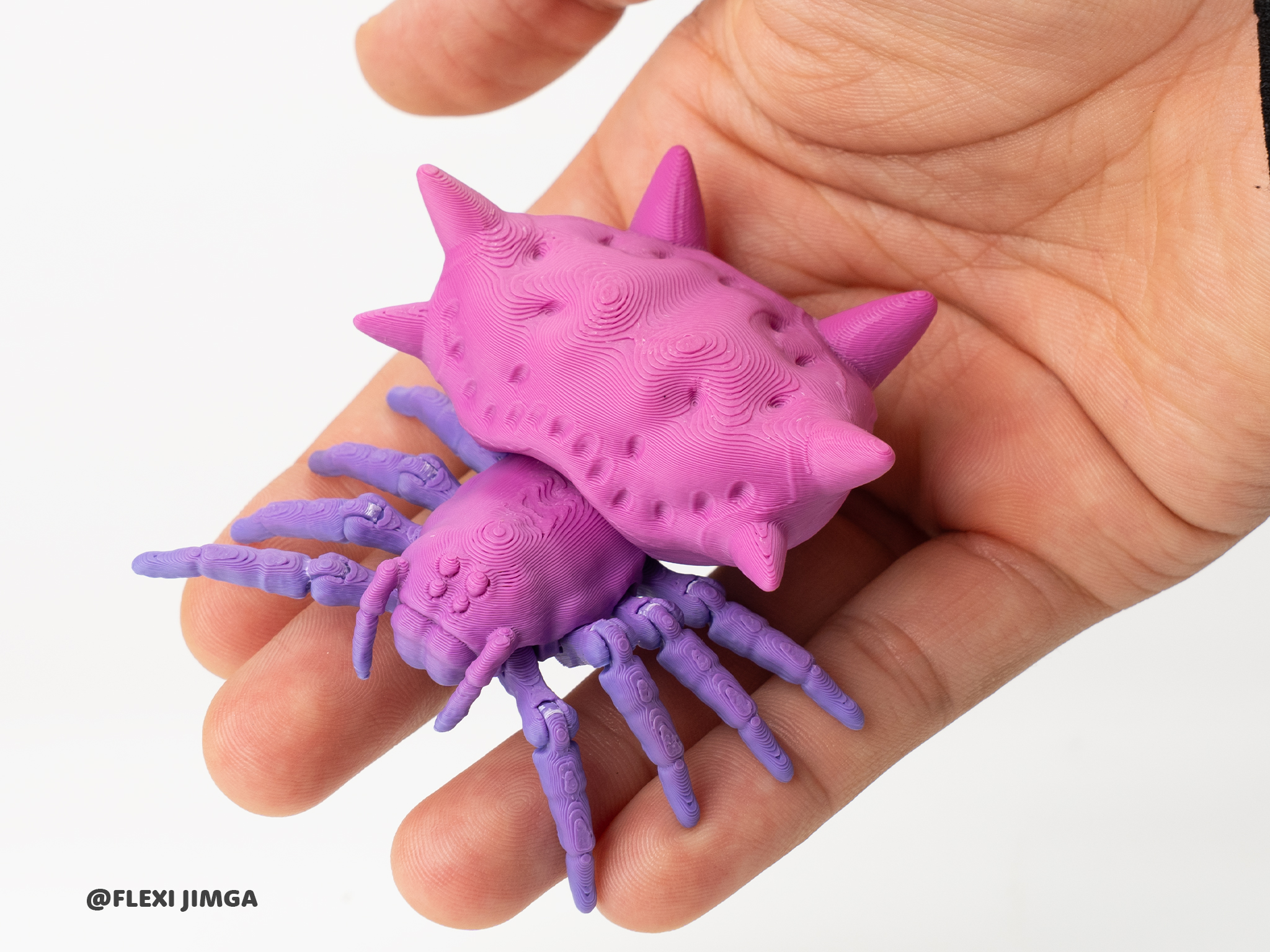 Articulated Spiny Spider | Flexi Halloween - 1