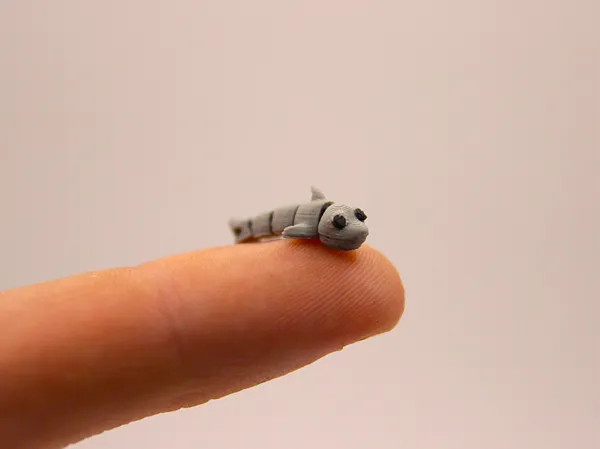 https://makerworld.bblmw.com/makerworld/model/US7aadb0b7460041/design/2025-01-20_9ec80ea87866.jpg