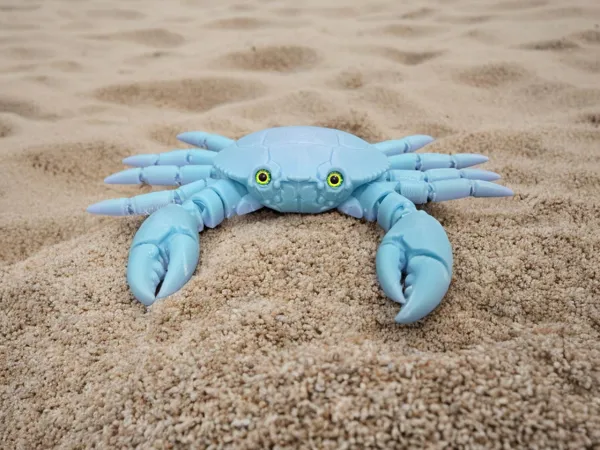 https://makerworld.bblmw.com/makerworld/model/US7ab23830e89ea5/design/f891697d5453d8cc.png