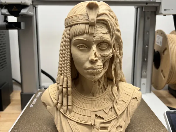 https://makerworld.bblmw.com/makerworld/model/US7ab2be3b5e38e2/design/d6d1c99c5ed7ce86.png