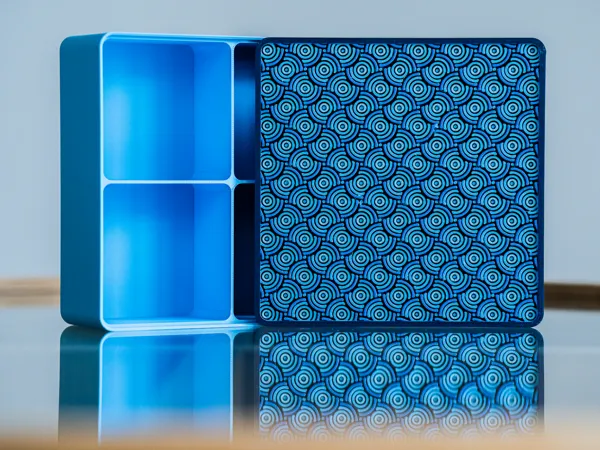 https://makerworld.bblmw.com/makerworld/model/US7ab3b4668baff0/design/024f18be7964b249.jpg