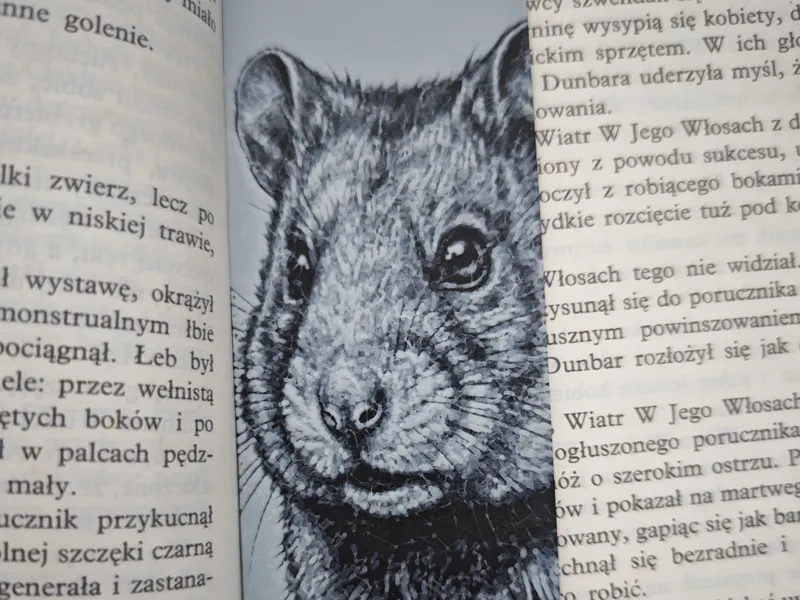 Chomik