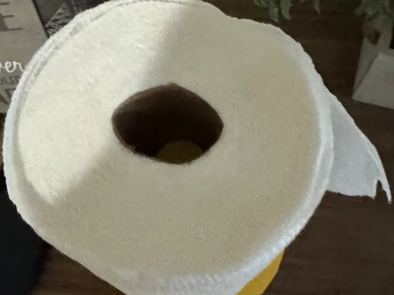 paper towel holder less than 4 1/2 hours on my P1S