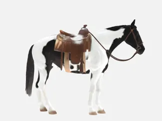 Western Paint Horse With Saddle