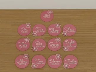 Baby Girl Month Milestone - flowers