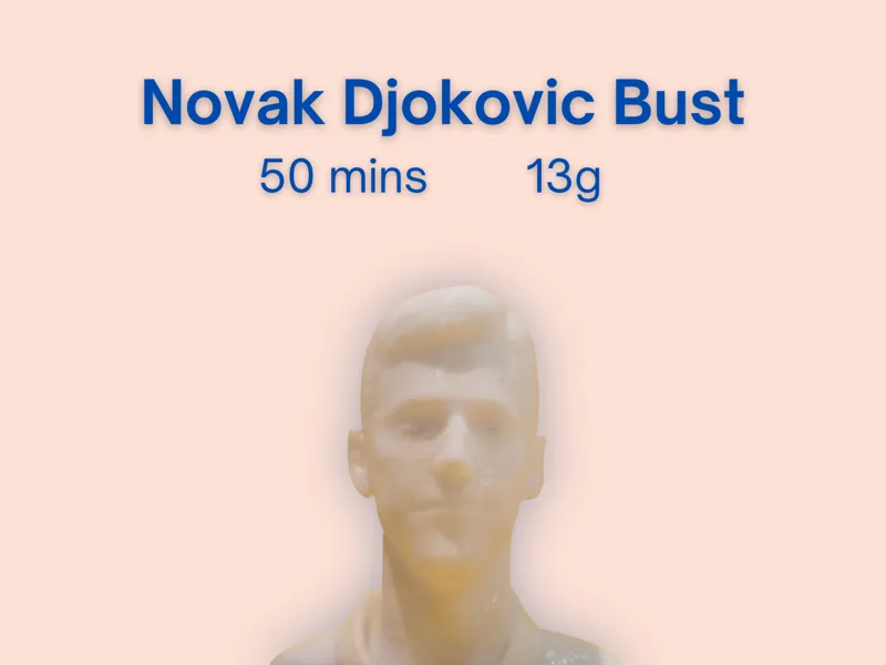 Novak Djokovic Bust
