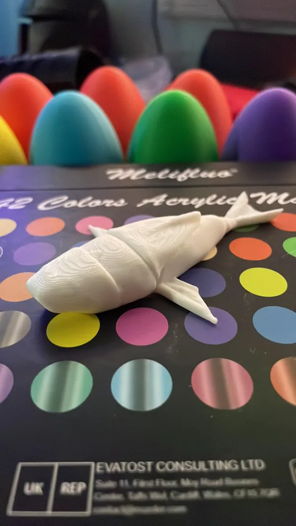 https://makerworld.bblmw.com/makerworld/model/US7ad2e36fa64ef0/design/2024-03-25_3ad59239a5cd1.jpg