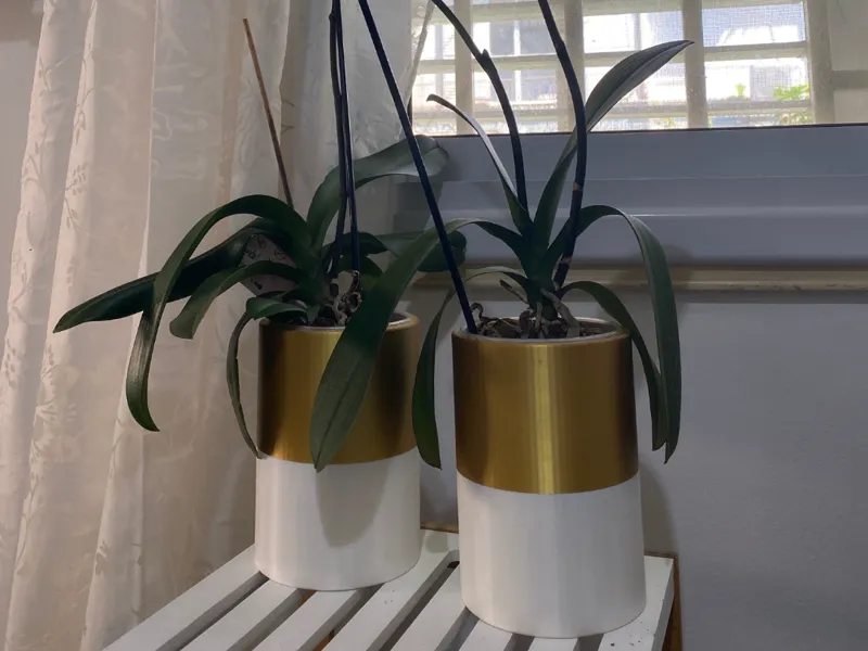 Orchid pot