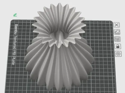 Vaas