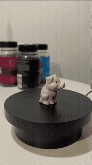 Cute Little Pig