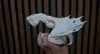 Added suports on tail and wings.