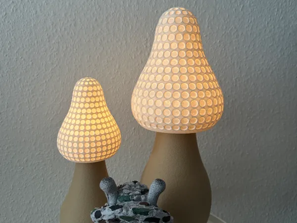 https://makerworld.bblmw.com/makerworld/model/US7ad667a470fc37/design/2025-04-23_f97518fd43187.jpeg