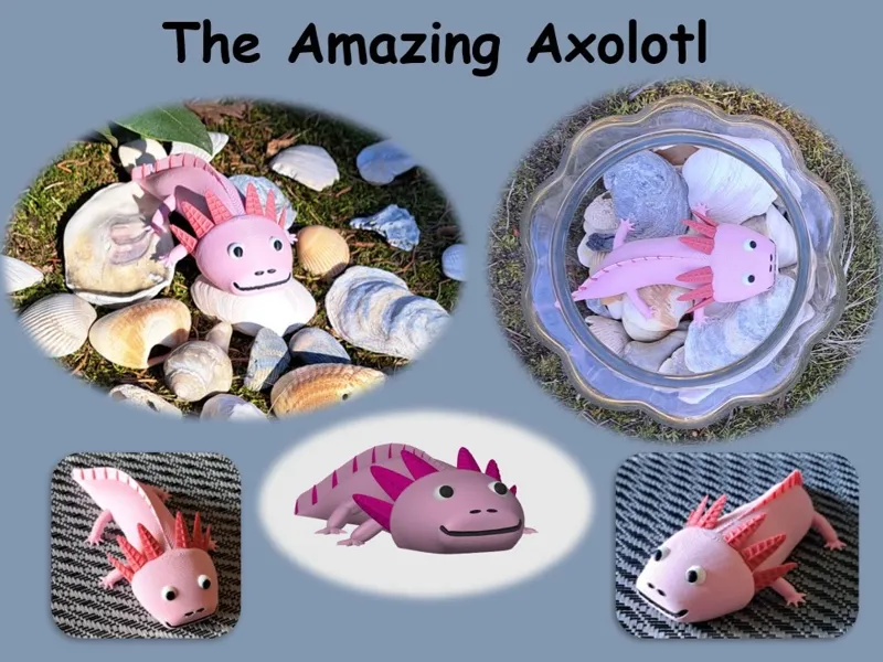 The Amazing Axolotl (AMS and No AMS)