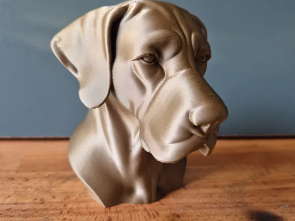 https://makerworld.bblmw.com/makerworld/model/US7adafbd853322e/design/2025-05-11_ca2aa8a9ffefa.jpg