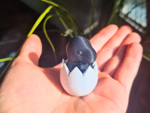 https://makerworld.bblmw.com/makerworld/model/US7ae18dafd48ecb/design/2025-03-05_c82b1ee033344.jpg