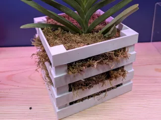 Vanda basket