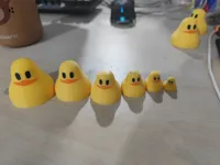 H2C多色版