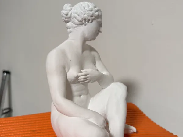 https://makerworld.bblmw.com/makerworld/model/US7ae435296e391/design/31bb57ef19eda9b8.jpg