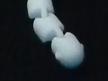 FLEXI SNAKE