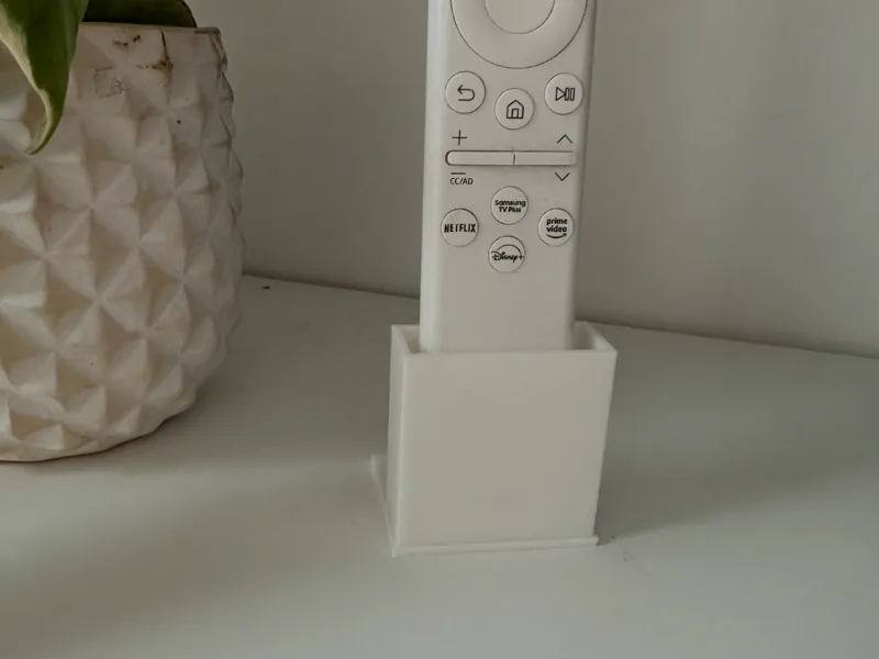 TV remote holder