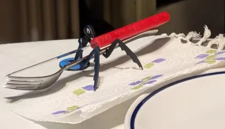 praying mantis (decor for guests occasions)