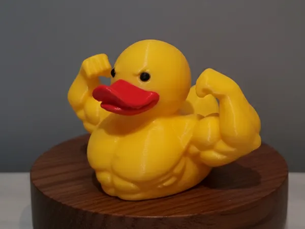 https://makerworld.bblmw.com/makerworld/model/US7aefc6e395712e/design/2026-01-08_b79f9c6c5f0c7.png