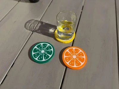 Citrus Slice Coaster!!