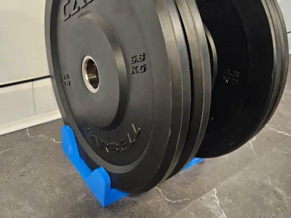https://makerworld.bblmw.com/makerworld/model/US7af54bc8245aa2/design/2025-01-27_785bf2265a93a.jpg