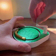 Inchworm Caterpillar Automaton view 2