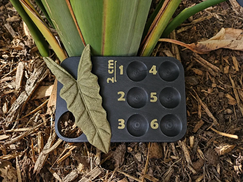 Modelo para impresión 3D: Rhizomboard mit 2-cm-Maßstab. Referencia del modelo original.